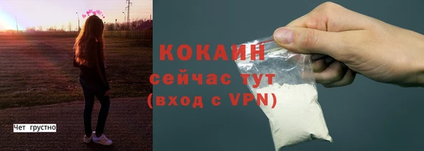 твердый Кущёвская