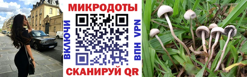 Псилоцибиновые грибы Psilocybine cubensis  где можно купить   Пенза 